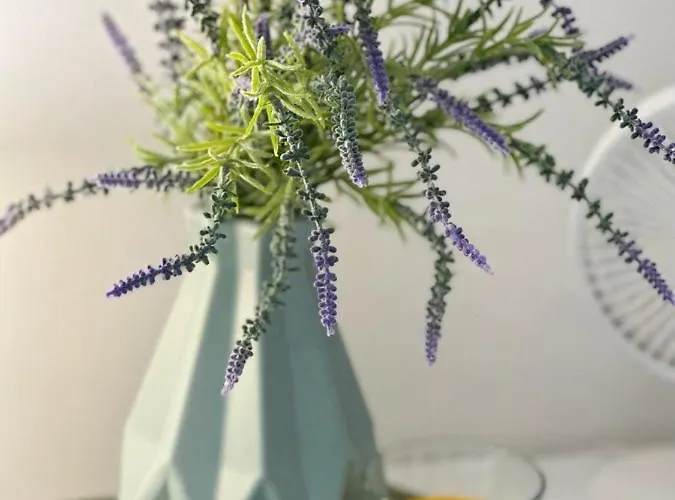 Anielewicza 26 Hotel